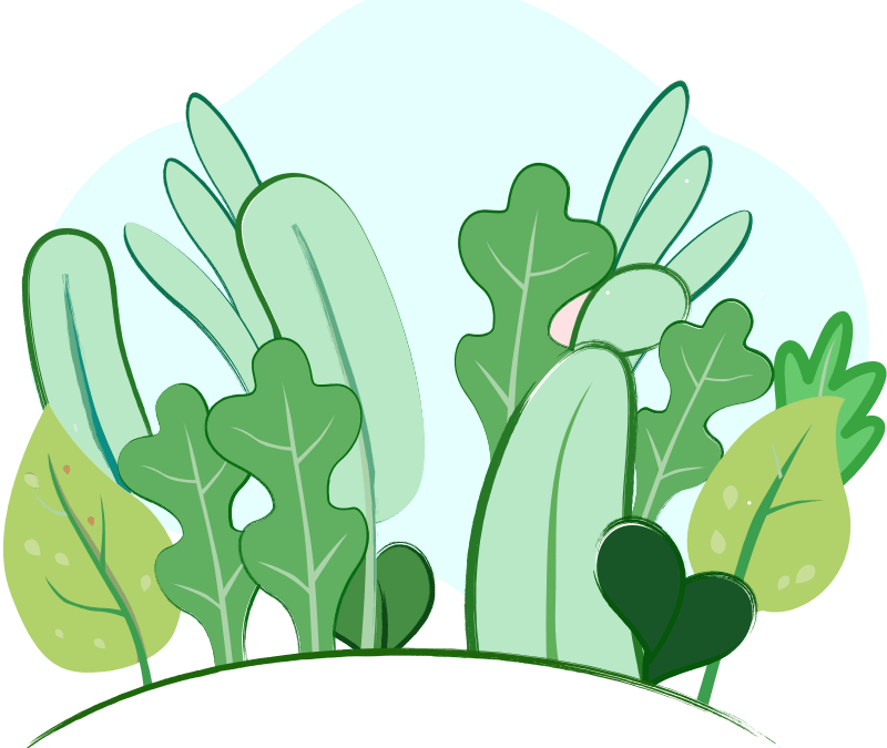 illustrator-illustration-19